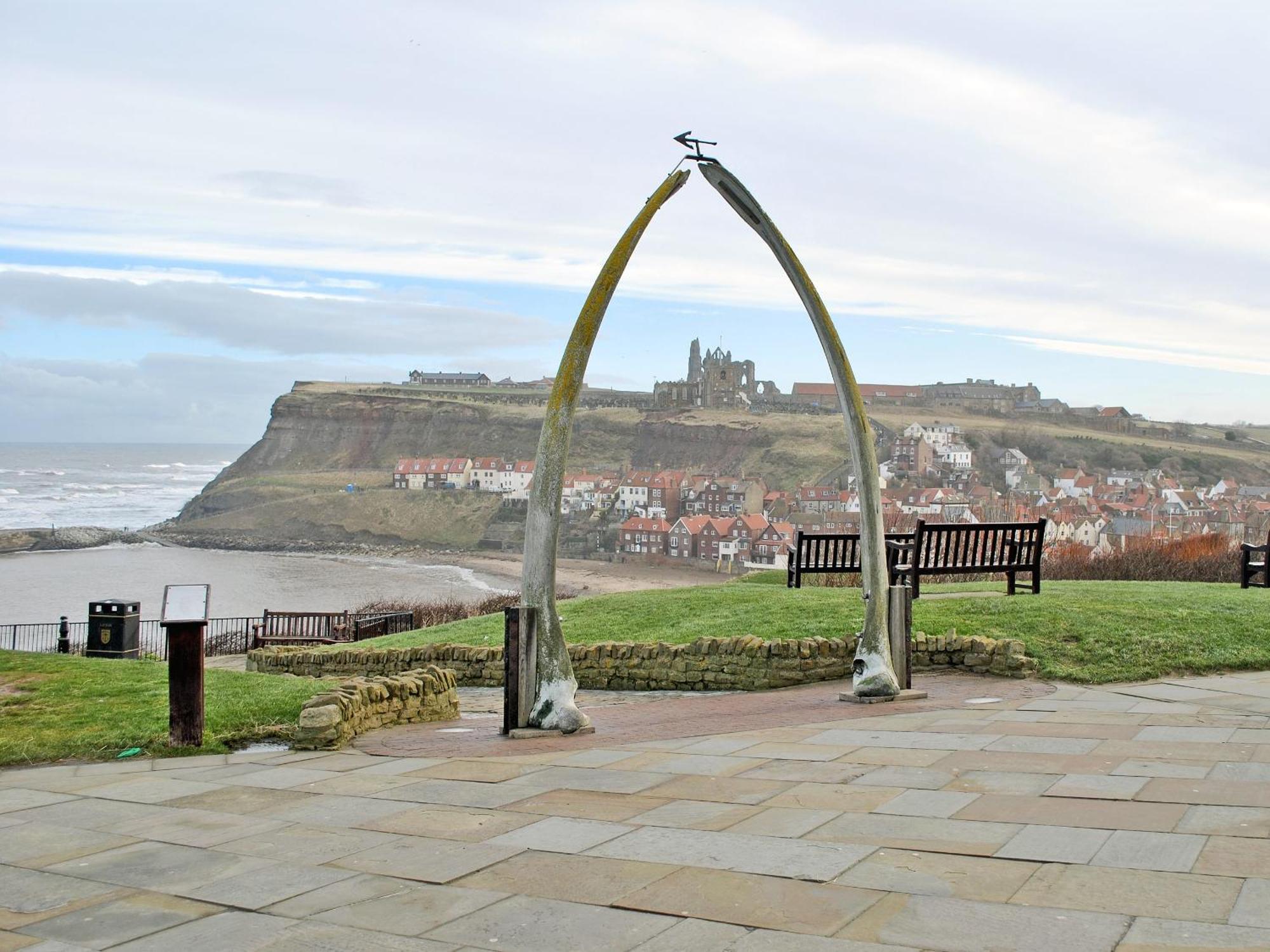Cobweb * Whitby